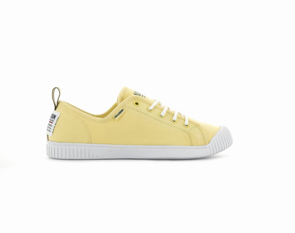 Palladium Easy Lace Canvas Damen Niedrige Sneaker Gold ||143567-BPZ||